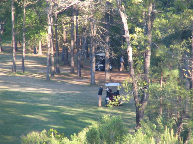 High Meadow Ranch Golf Club - Houston, Texas - woods