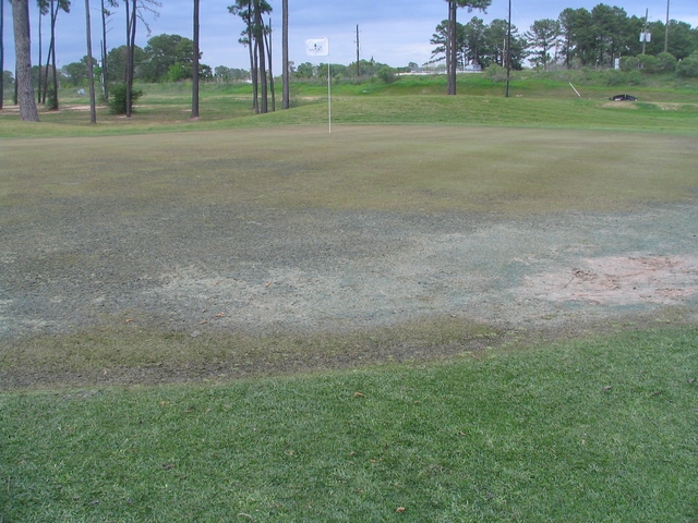 How could Golf Digest like Gleannloch Farms Golf Club in Houston ? It #39 s