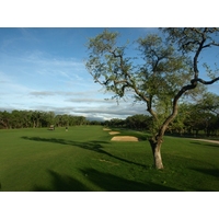 The par-5 second on the AT&T Canyons Course at TPC San Antonio has a troublesome tree as well as a series of fairway bunkers.