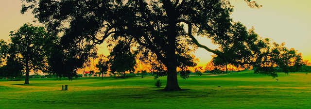 Pecan Grove Plantation CC