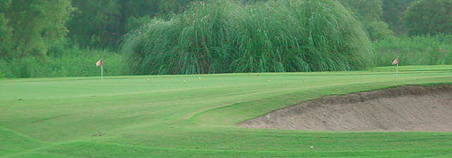 Pine Forest GC: Practice area