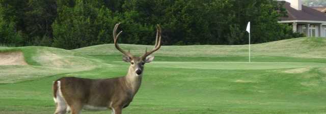 Lago Vista GC