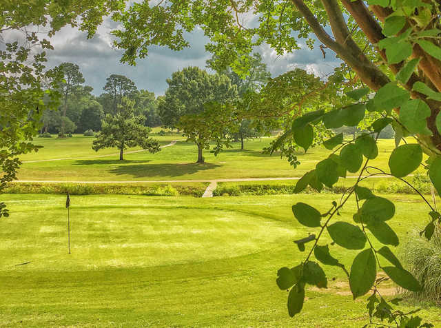 Wildcat Golf Course in Palestine
