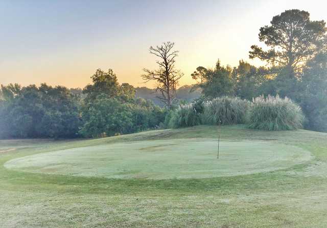 Wildcat Golf Course in Palestine