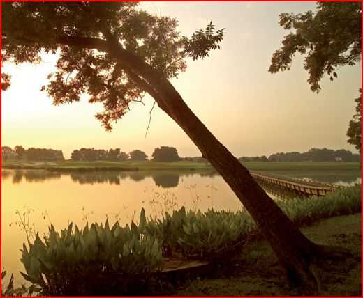 Black Hawk Country Club In Richmond