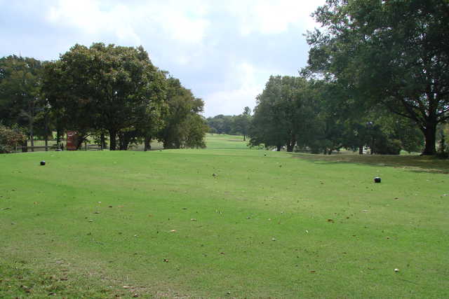 Wright Park Golf Course in Greenville