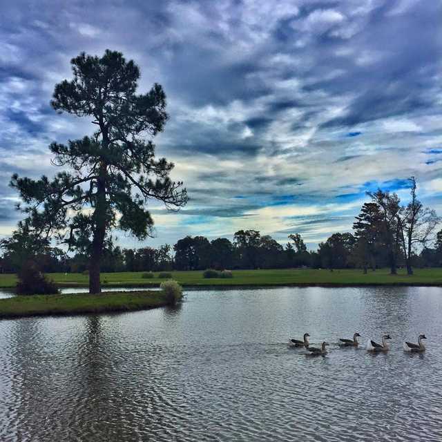 Longview Country Club in Longview