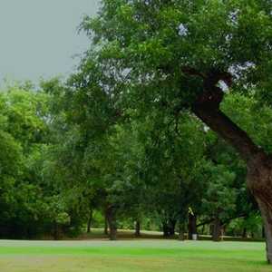 San Saba River GC: #15