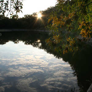 Firewheel Golf Park