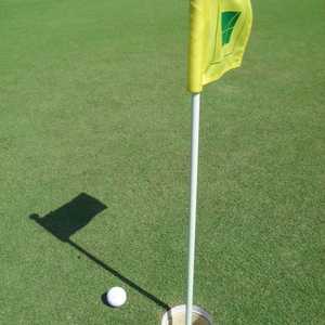 Lake Arlington GC: putting green