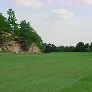 Pine Forest GC: #5