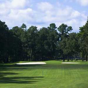 The Village GC: #12