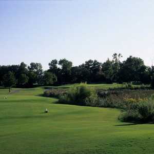 Grapevine GC - Mockingbird: #7