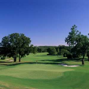 Grapevine GC - Pecan: #9