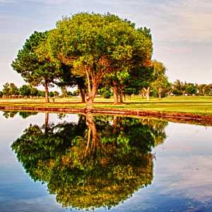 Links Course at Odessa Country Club in Odessa Links Course at Odessa Country Club in Odessa