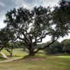 A view from Riverside Golf Course