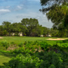 View of a green at Forest Creek.