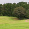 A view of a green at Holly Lake Ranch Golf Course.