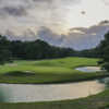 View of the 5th green at Tour 18 Houston.