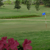 A view of the 9th green at The Challenge - Gladewater
