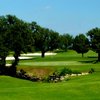A view of a green at Little Nine Course from Shady Oaks Country Club