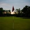 A view of green at Champions Golf Club