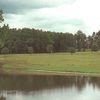 A view from Wood Hollow Golf Club