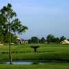 A view from Colony Creek Country Club