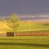 A view of the 8th green from Frisco Lakes Golf Club