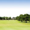 A view of fairway at Green Tree Country Club