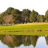 A view of green at Green Tree Country Club