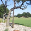 View of a green and bunker at Firewheel Golf of Garland