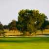 A sunny day view of a green at River Creek Park Golf Course