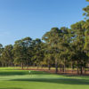View of the 4th green at Bluejack National (Aidan Bradley/Bluejack National)