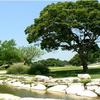 A view of green #7 at Hidden Springs Golf Course