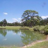 A view from Lost Pines Golf Course