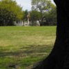 A view of green # framed by tree at Delaware Springs Golf Course