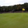 A view of green at Canyon Lake Golf & Country Club