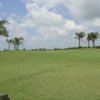 A view of green at Freeport Municipal Golf Course