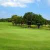 A view of the 1st green at Grapevine Golf Course - Mockingbird Course