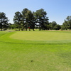 A view of green at Pine Crest Golf Club
