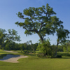 A view of the 16th green at Wilderness Golf Course