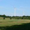 A view of green #6 at Turtle Hill Golf Course