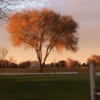 A view of a green at Sundown Golf Course (Michael Rice).