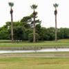 A view of green #3 at Desert Oaks Golf Course.