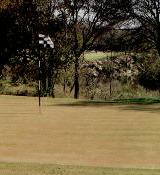 arizona golf arizona golf arizona golf
