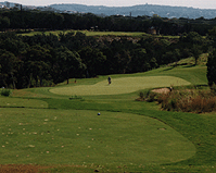 Barton Creek - No. 8 features an elevated tee shot.