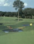 arizona golf arizona golf arizona golf