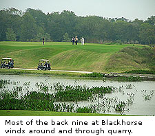 Blackhorse
