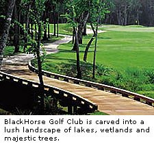 BlackHorse Golf Club